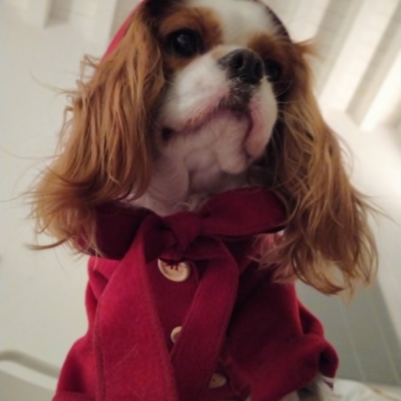Dog Other - Dog Pet Jacket Coat Size Small Medium Red